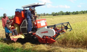 UBND tỉnh: Xem xét những trường hợp sử dụng đất trồng lúa nước sang các mục đích khác