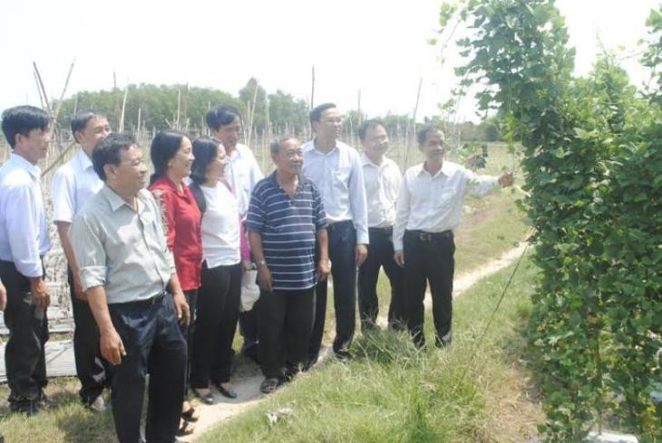 Phó Chủ tịch UBND tỉnh làm việc với HTX Rau an toàn Rỗng Tượng 