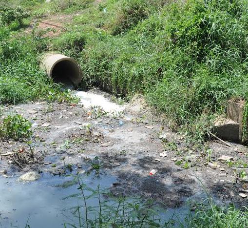 Phạt 2 cơ sở sản xuất bún xả thải, gây ô nhiễm môi trường