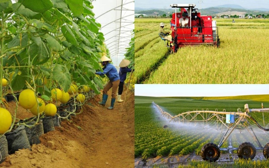 Phát triển ngành Nông nghiệp và Phát triển nông thôn tỉnh Tây Ninh giai đoạn 2021 – 2025