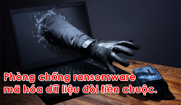 maodc.png