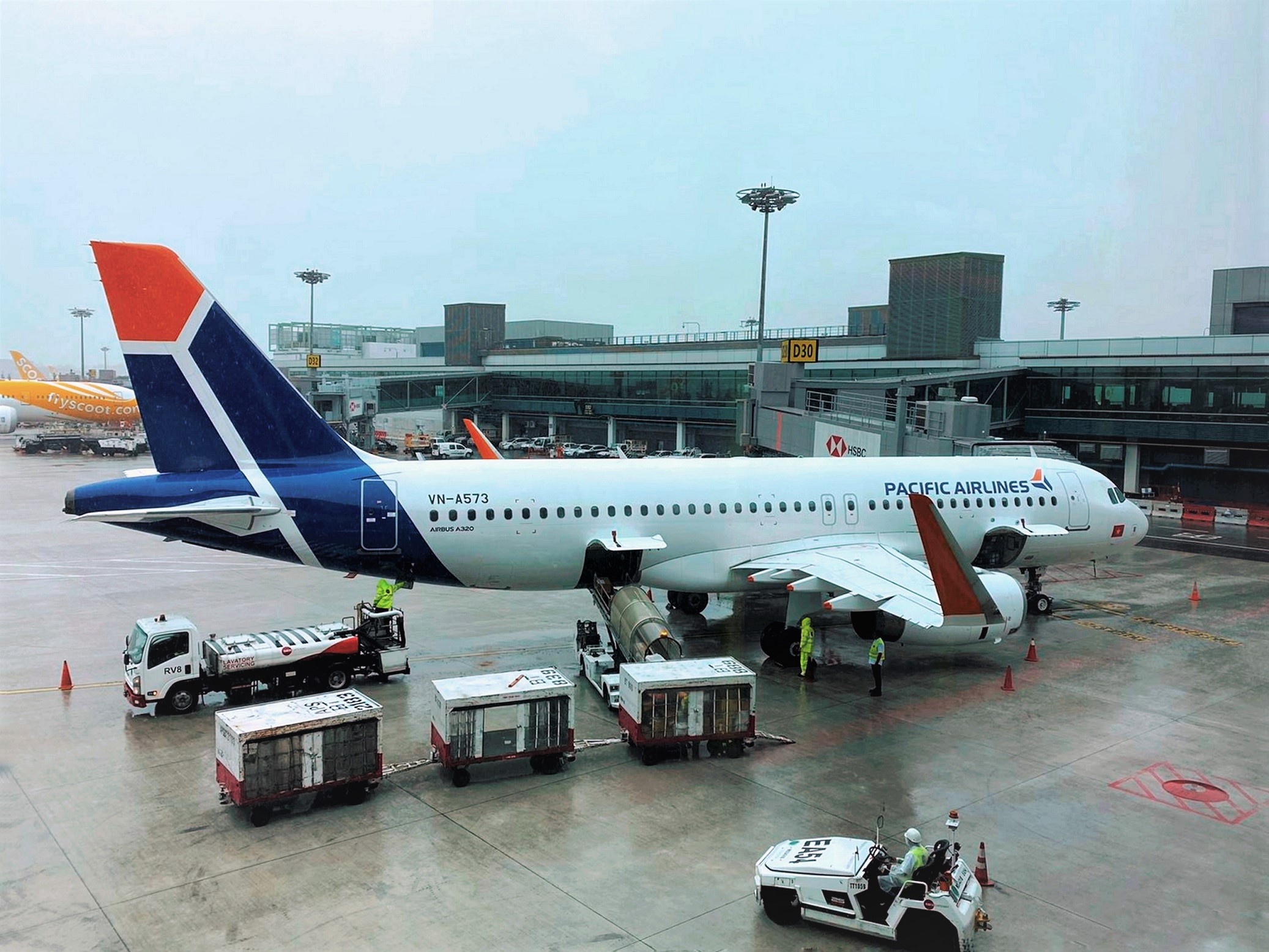 PacificAirlinesduacongdanveVietNam-1.jpeg