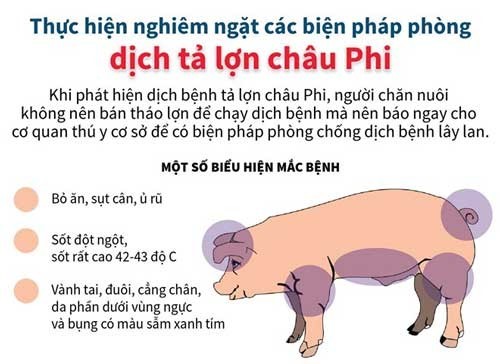 dichtalon-img.jpg