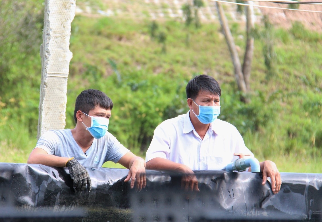 Hiệu quả mô hình nuôi cá chạch lấu trên ao nổi