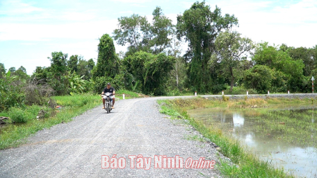 Kết quả khả quan, nhưng vẫn còn nhiều hạn chế