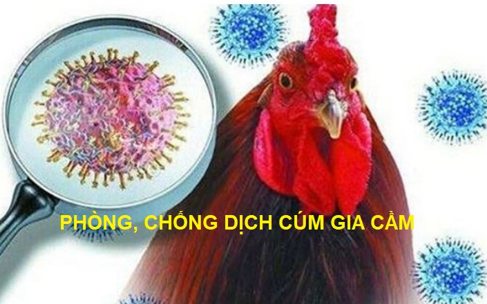 Tăng cường công tác phòng, chống dịch bệnh Cúm gia cầm