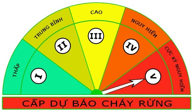 Đẩy mạnh các biện pháp phòng chống cháy rừng mùa khô năm 2024