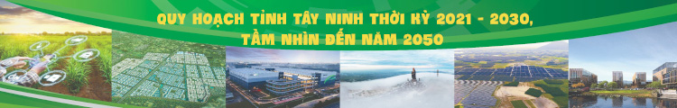 Quy hoạch tinh TN 2021-2030, tam nhin 2050