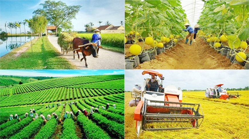 Thực hiện Chương trình mục tiêu quốc gia giảm nghèo bền vững năm 2024 trên địa bàn tỉnh Tây Ninh