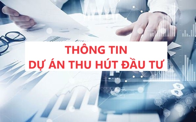 Danh mục dự án thu hút đầu tư trên địa bàn tỉnh Tây Ninh năm 2024