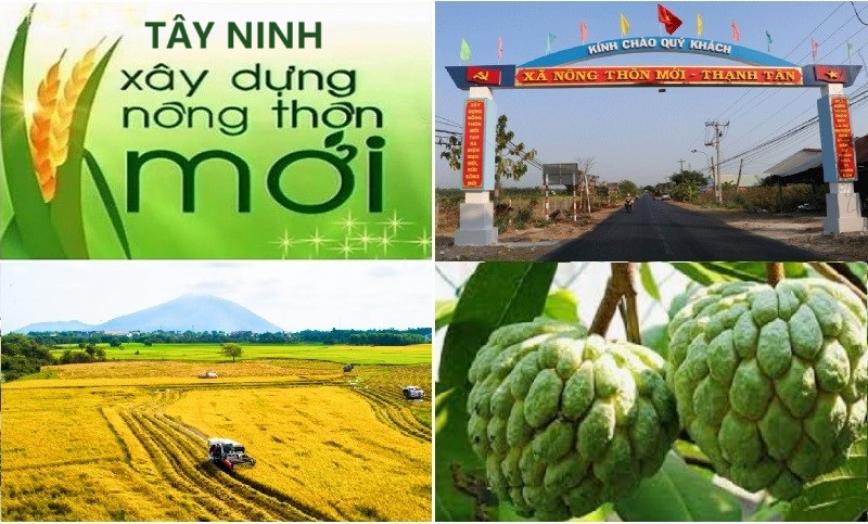 Công nhận xã đạt chuẩn nông thôn mới, xã đạt chuẩn nông thôn mới nâng cao, xã đạt chuẩn nông thôn mới kiểu mẫu năm 2024