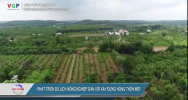 Phát triển du lịch nông nghiệp gắn với xây dựng nông thôn mới